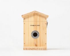 Camouflage EX Nest eye